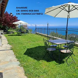 antemare.hotelitalianriviera.com/